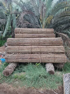 دعن # دعون
