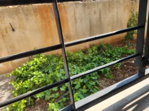 بيع شقة  مع حديقة خارجية