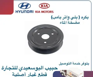 بكرة(بلي واتر بامب) مضخة المياه وكالة ( هيونداي/كيا )