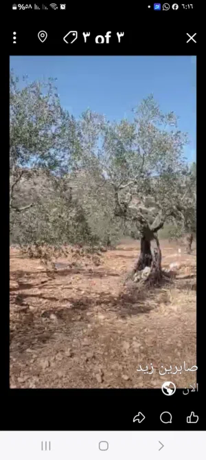 ارض للبيع في منطقه كوبر مساحه 520 م كوشان طابو مستقل