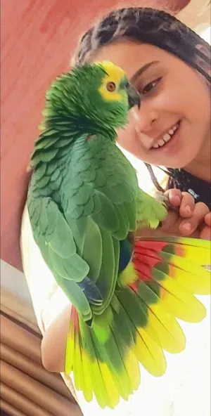 جاكو بلوفرونتد أمازون
