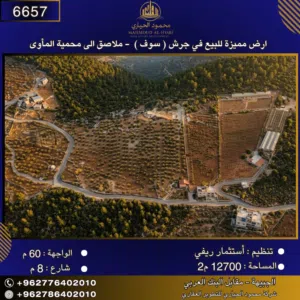 Farm Land for Sale in Jerash Soof