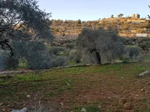 Farm . 2317 m2 . Agent0