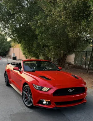 Ford . Mustang . 2015 . Used3