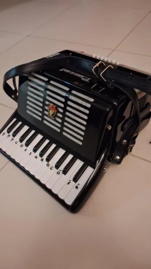 accordian in good condition