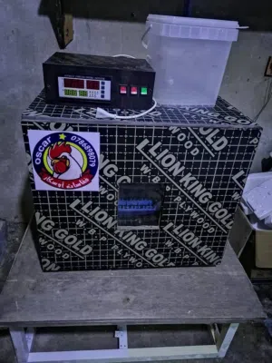 مطلوب فقاسه صيصان عادي لو ايش مكان حجمهم في العقبه