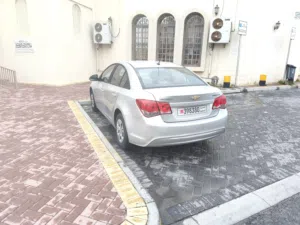 كروز 2014 استخدام يومي