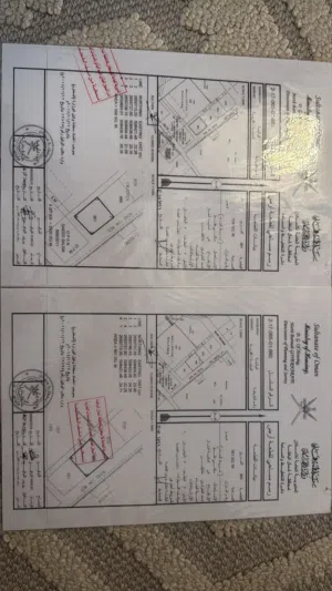ارضين شبك فالخابوره خلف مكتب الوالي مكان جميل