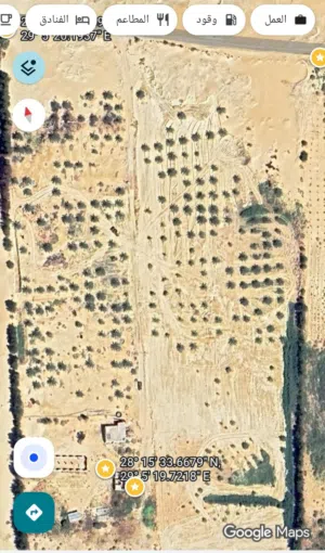 فرصة استثمارية – مزرعة للبيع  Investment Opportunity – Farm for Sale  فرصة استثمارية – مزرعة 13.67