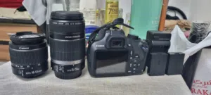 cannon  55-250mm stm lend gor good photographs