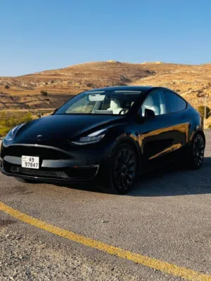 Tesla Model Y Performance (Dual Motor All-Wheel Drive)