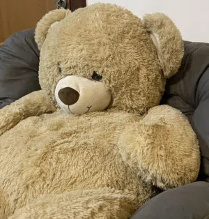 Large, Ultra-Soft Teddy Bear Perfect Gift or Room Decor!
