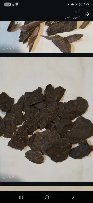 جارسوبر مرتفع .موري دبل وسوبر تراد سوبر