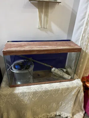 حوض سمك للبيع