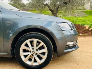 Used Skoda Octavia in Jenin