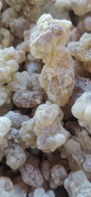 لبان حوجري للبخور ممتاز بسعر مميز وريحه مميزه
