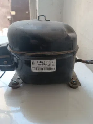 ماطورمجمده بلادي