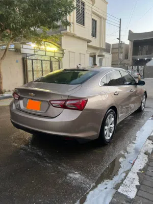 ماليبو 19 باسمي