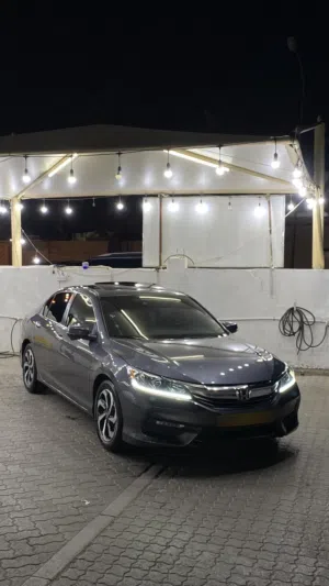 Used Honda Accord in Buraimi