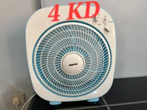 FAN (2 Months Old)