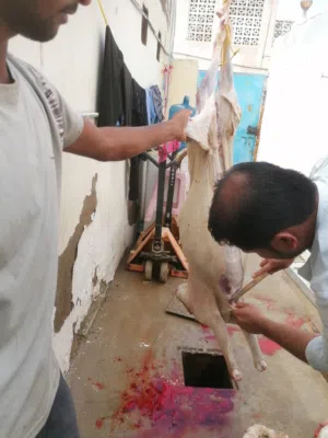 2 experienced professional butchers for a hassle-free, clean, and timely Qurbani.