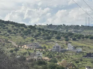 Farm Land for Sale in Zarqa Al-Alouk