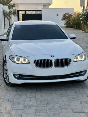 bmw F10 2014