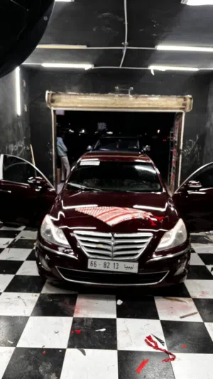 Genses 2014 3.8L