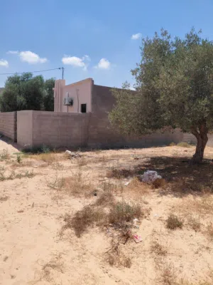 Residential Land for Sale in Tripoli Al-Najila