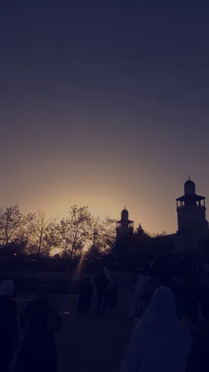 سلطان 