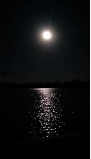 سوق تجاري 