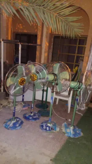 تأجير المروحة Fans for rent