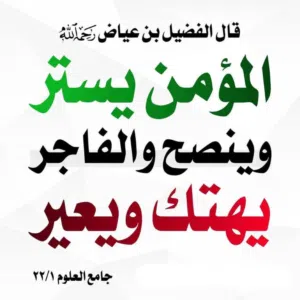 دجاج هجين سايكس وهجين كلاي وهجين براما
