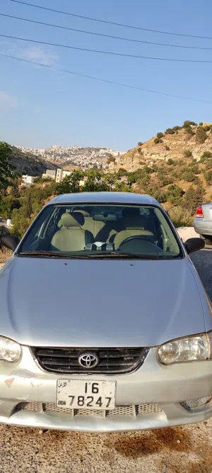 Used Toyota Corolla in Amman