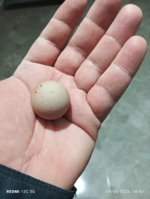 بيضة كروية الشكل نادرة جدا. بيعت في بريطانيا بأكثر من 6000 يورو