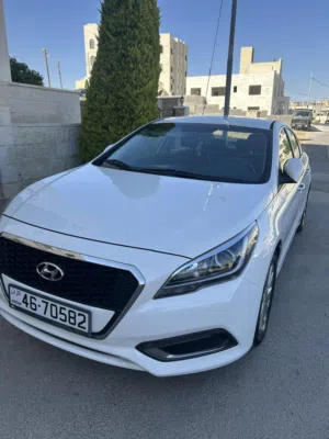 Used Hyundai Sonata in Amman