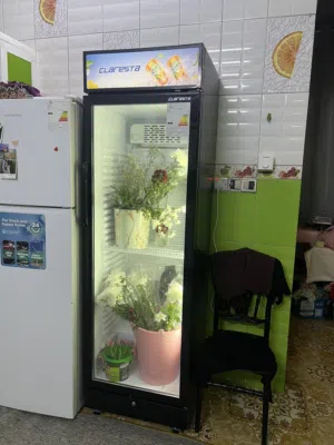 براد عارضة كلارستا