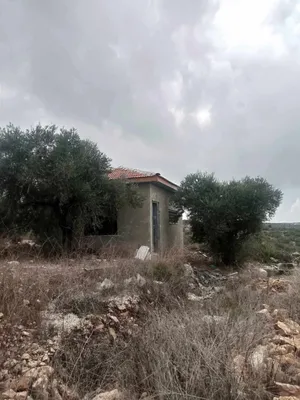 الاستخدام المتعدد . 1110 م٢ . الوسيط3