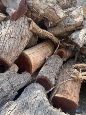 للبيع حطب سمر وسدر شي حجم كبير وشي صغير الي يناسبك موجود