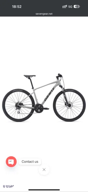 Giant Roam 3 Disc Concrete bicycle