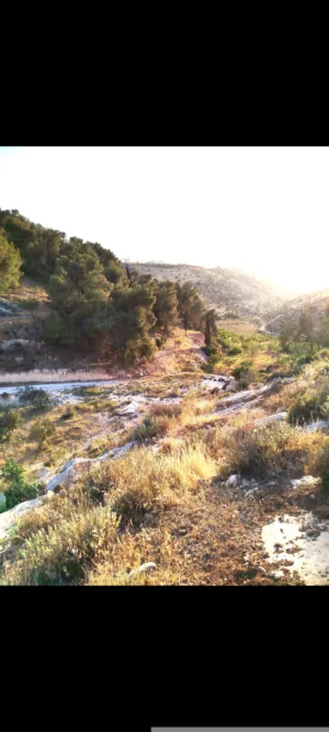 Mixed Use Land for Sale in Hebron Dura