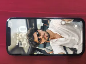 i phone 12 pro 256