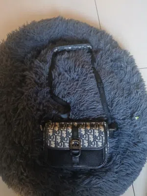 Dior crossbody bag