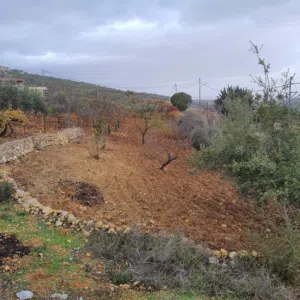 Farm Land for Sale in Salt Al Balqa'