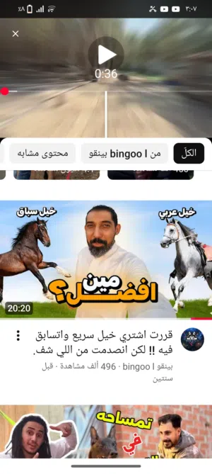 مطلوب خيل أي نوع