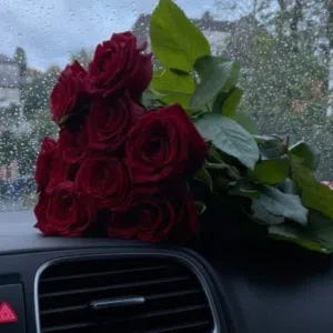 مؤمن 