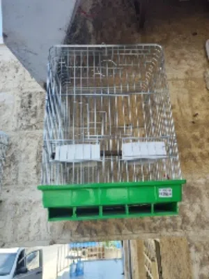 قفص ببغاء ...