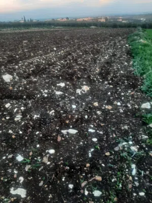 ارض للبيع في خرجا مساحة ثلاث دونمات و 800 بسعر مغري