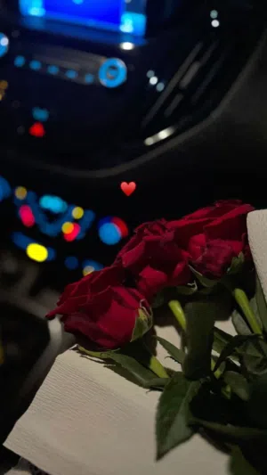 شاشه جولد سكاي للبيع