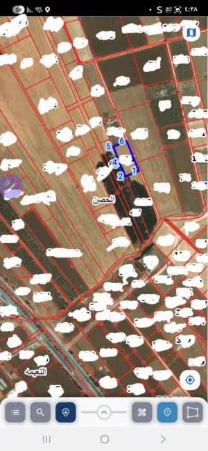 Farm Land for Sale in Irbid Al Husn